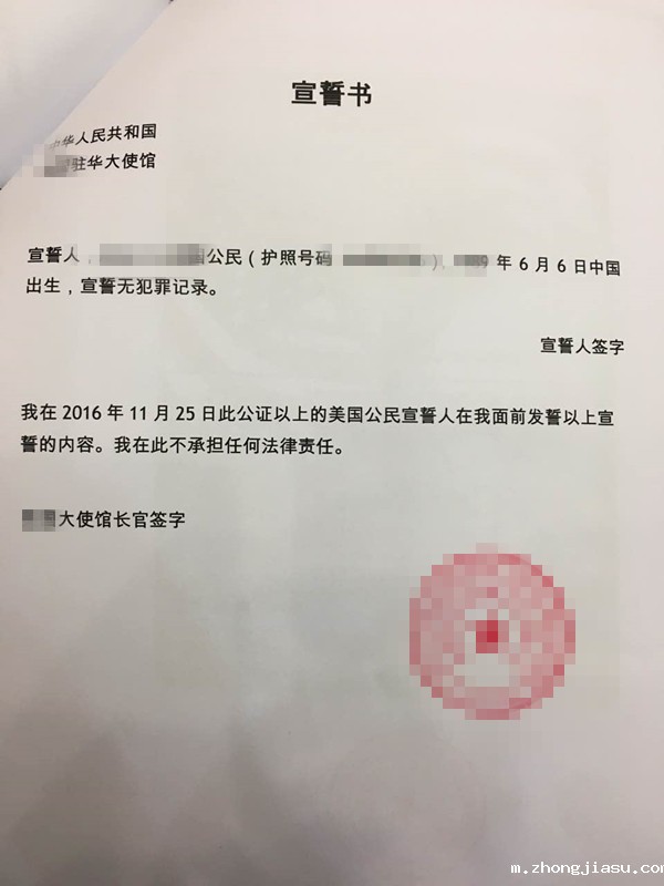 宣誓性图2_副本
