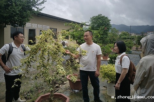 石金坤为教师们讲解.jpg